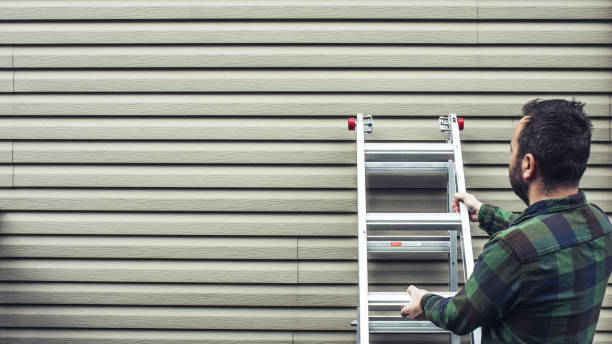 Best Stone Veneer Siding  in Hyde Park, UT