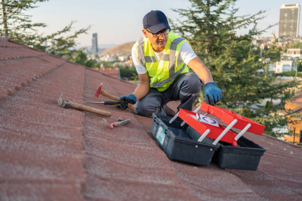 Best Insulated Siding Installation  in Hyde Park, UT